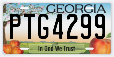GA license plate PTG4299