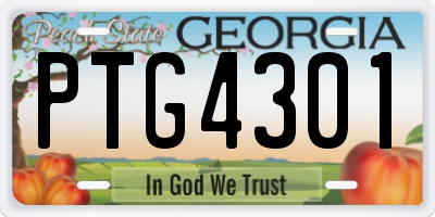 GA license plate PTG4301