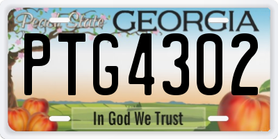 GA license plate PTG4302
