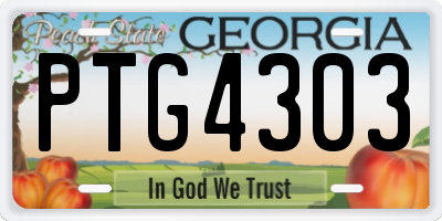 GA license plate PTG4303