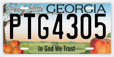 GA license plate PTG4305