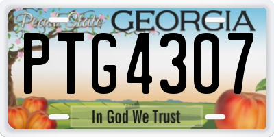 GA license plate PTG4307