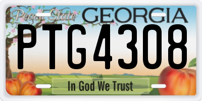 GA license plate PTG4308