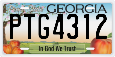 GA license plate PTG4312
