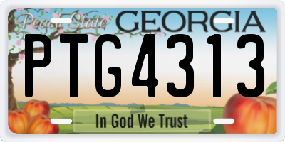 GA license plate PTG4313