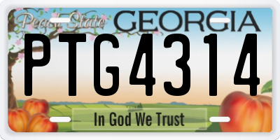 GA license plate PTG4314