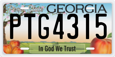 GA license plate PTG4315