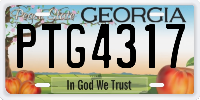 GA license plate PTG4317