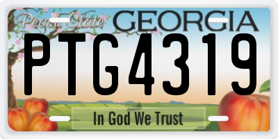 GA license plate PTG4319