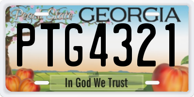 GA license plate PTG4321