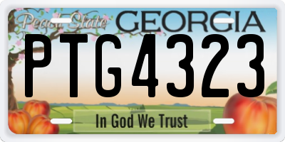 GA license plate PTG4323