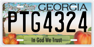 GA license plate PTG4324