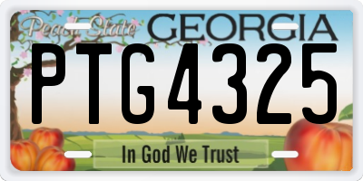 GA license plate PTG4325