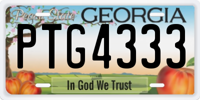 GA license plate PTG4333