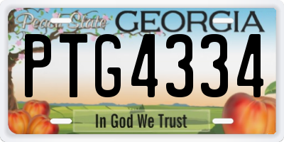 GA license plate PTG4334