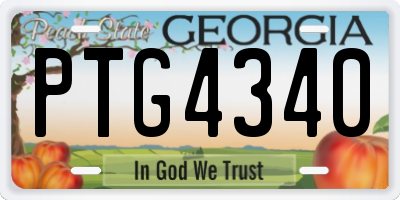 GA license plate PTG4340