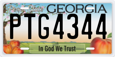 GA license plate PTG4344