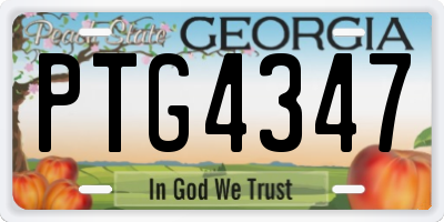 GA license plate PTG4347