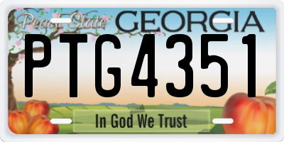 GA license plate PTG4351