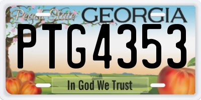 GA license plate PTG4353