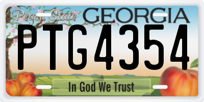 GA license plate PTG4354