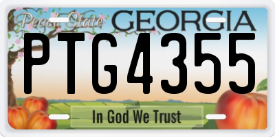 GA license plate PTG4355