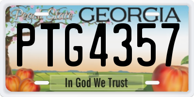 GA license plate PTG4357