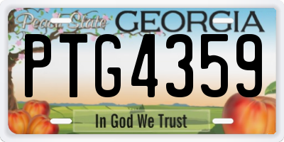 GA license plate PTG4359
