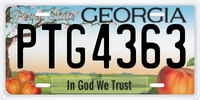 GA license plate PTG4363