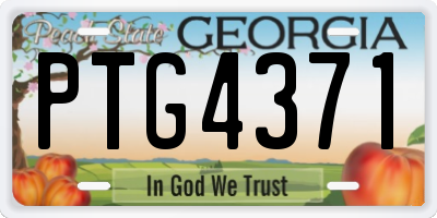GA license plate PTG4371
