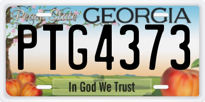 GA license plate PTG4373