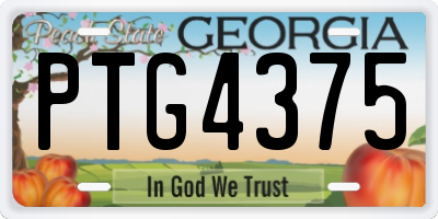 GA license plate PTG4375