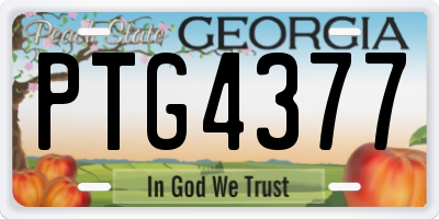 GA license plate PTG4377