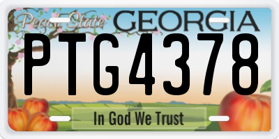 GA license plate PTG4378
