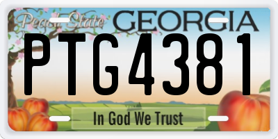 GA license plate PTG4381
