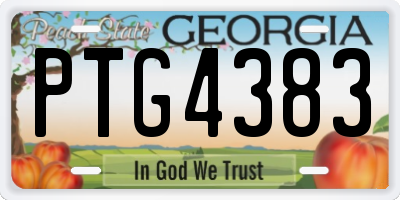 GA license plate PTG4383