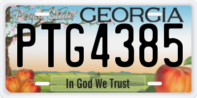 GA license plate PTG4385