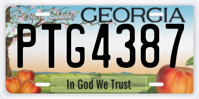 GA license plate PTG4387