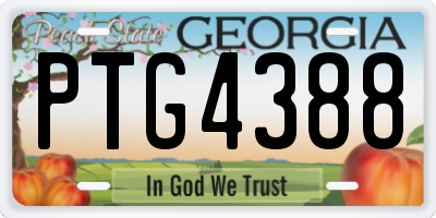 GA license plate PTG4388