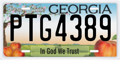 GA license plate PTG4389