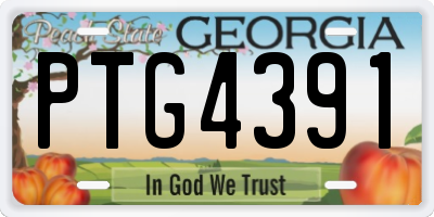 GA license plate PTG4391