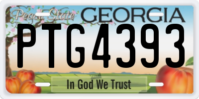 GA license plate PTG4393