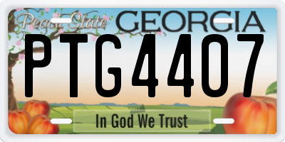 GA license plate PTG4407