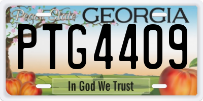 GA license plate PTG4409