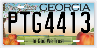 GA license plate PTG4413