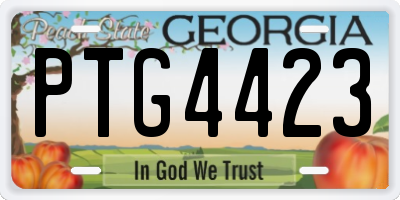 GA license plate PTG4423