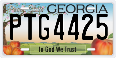 GA license plate PTG4425