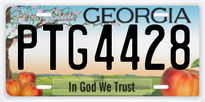GA license plate PTG4428