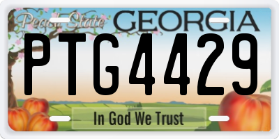 GA license plate PTG4429