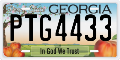 GA license plate PTG4433